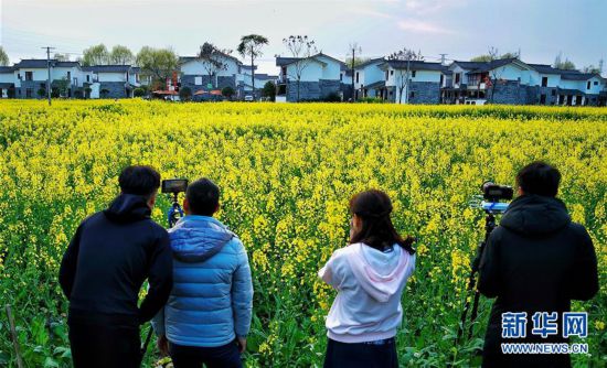 �������������B����1���Ĵ����ԡ�������ý ���F�l�����d