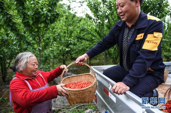 ����(j��ng)��(j��)����1���F����֦���t���������l(xi��ng)�����d