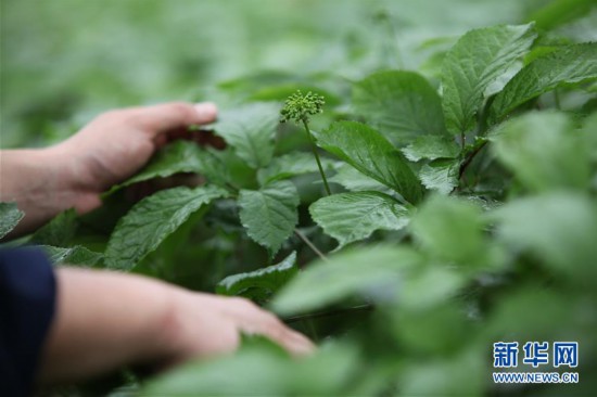 #����������3��ɽ�|�ĵǣ��������æ