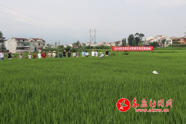 �o�˙C�@����  �����æ�w��1.JPG