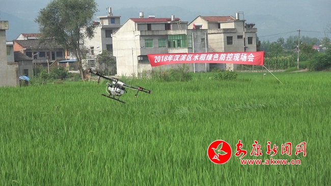 �o�˙C�@����  �����æ�w��.jpg