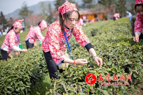 ���23�f��������@ʢ���_�@