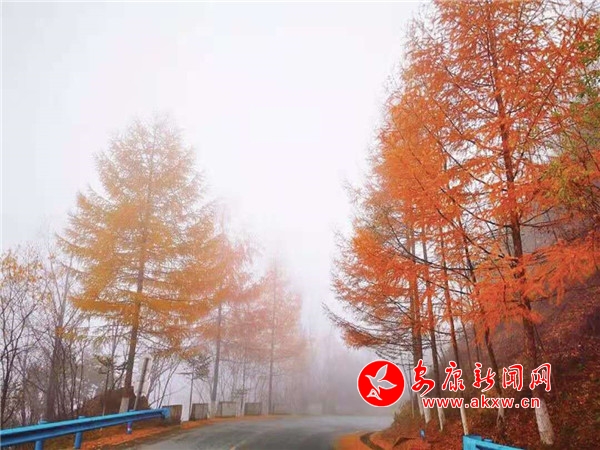 ����ɽ����