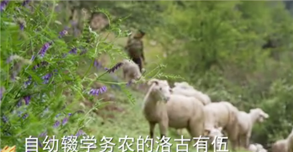 ȫ����Óؚ���ԡ�����o�Ƭչ�����o�Ƭ��������ӛ�������������ĽY5