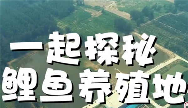 ȫ����Óؚ���ԡ�����o�Ƭչ����ϵ�мo�Ƭ���ߴ�ֱ����Óؚ��֮��