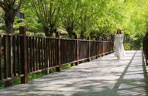 ꖹ��đB(t��i)���ɾ���������