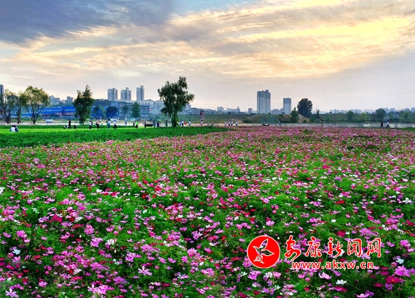 �����������ǖ|�^����ȥ