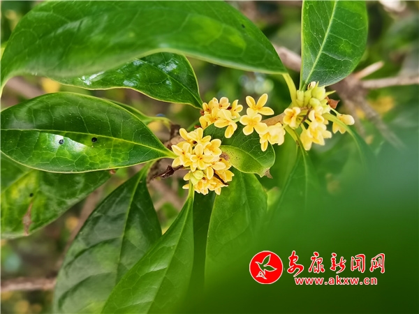 ���¹��h��r ���˻�����M��