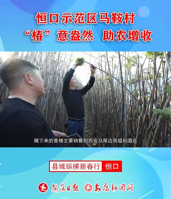 ���ʾ���^�R���塰�����ⰻȻ ���r����