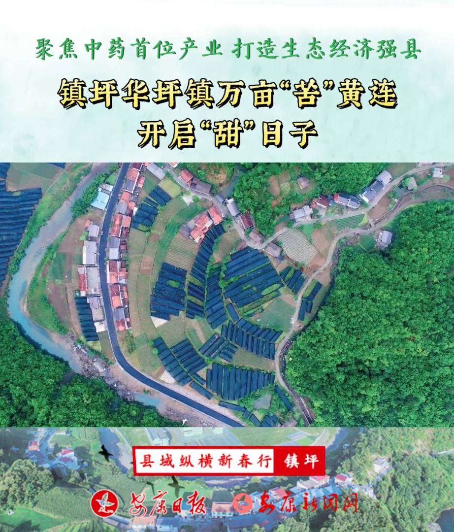 �ƺ�Aƺ��f�����ࡱ�S�B�_����������