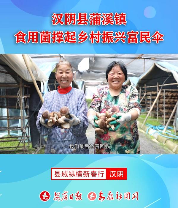 �hꎿh��Ϫ� ʳ�þ������l�����d�����