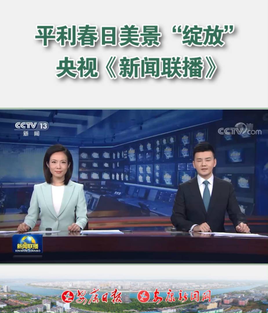 ƽ�������������`�š���ҕ����������Ŀ