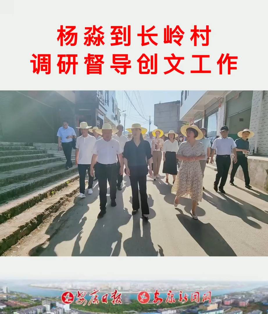 副市長楊淼到長嶺村調(diào)研督導(dǎo)創(chuàng)文工作