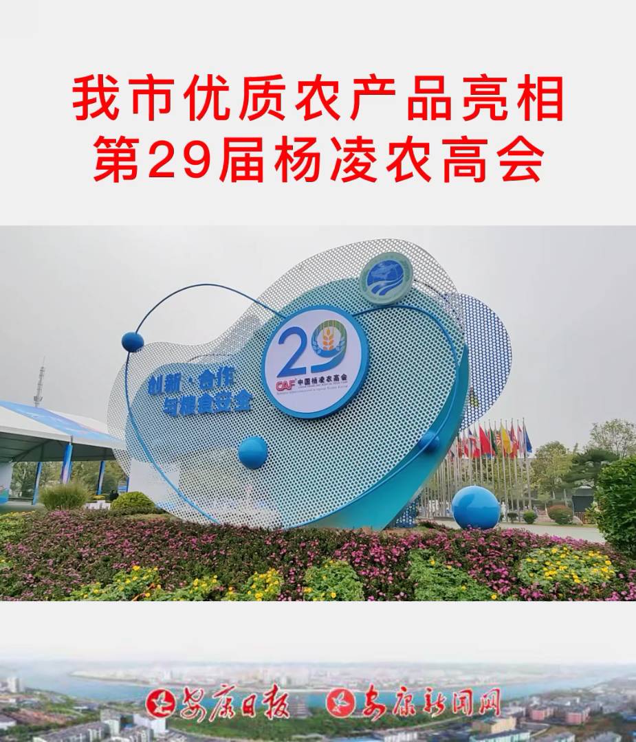 ���Ѓ��|�r�aƷ�����29�×����r�ߕ�