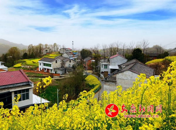 �l(xi��ng)��Խ��(l��i)Խ����