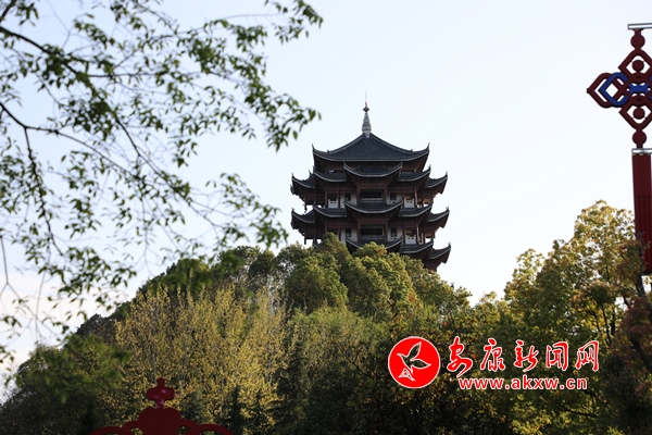 ��ɫ�M�ǵ����(l��i)