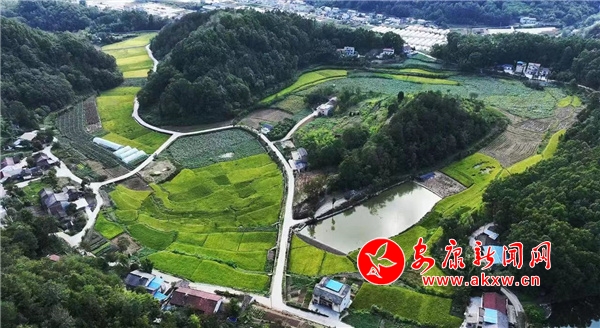 ʯȪ���l�塰�ֵ�ߡ� ���á��ό���