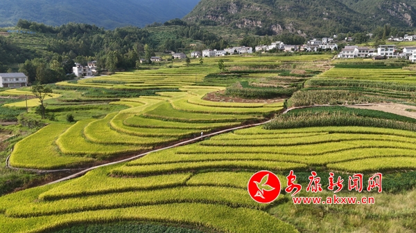 ˮ���S�՚w�}(c��ng)æ