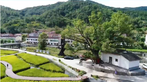 �h��p�ӿ�患���׃�l��չ����