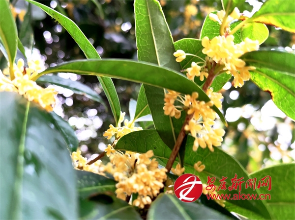 �M�ǹ��� ��������r(sh��)