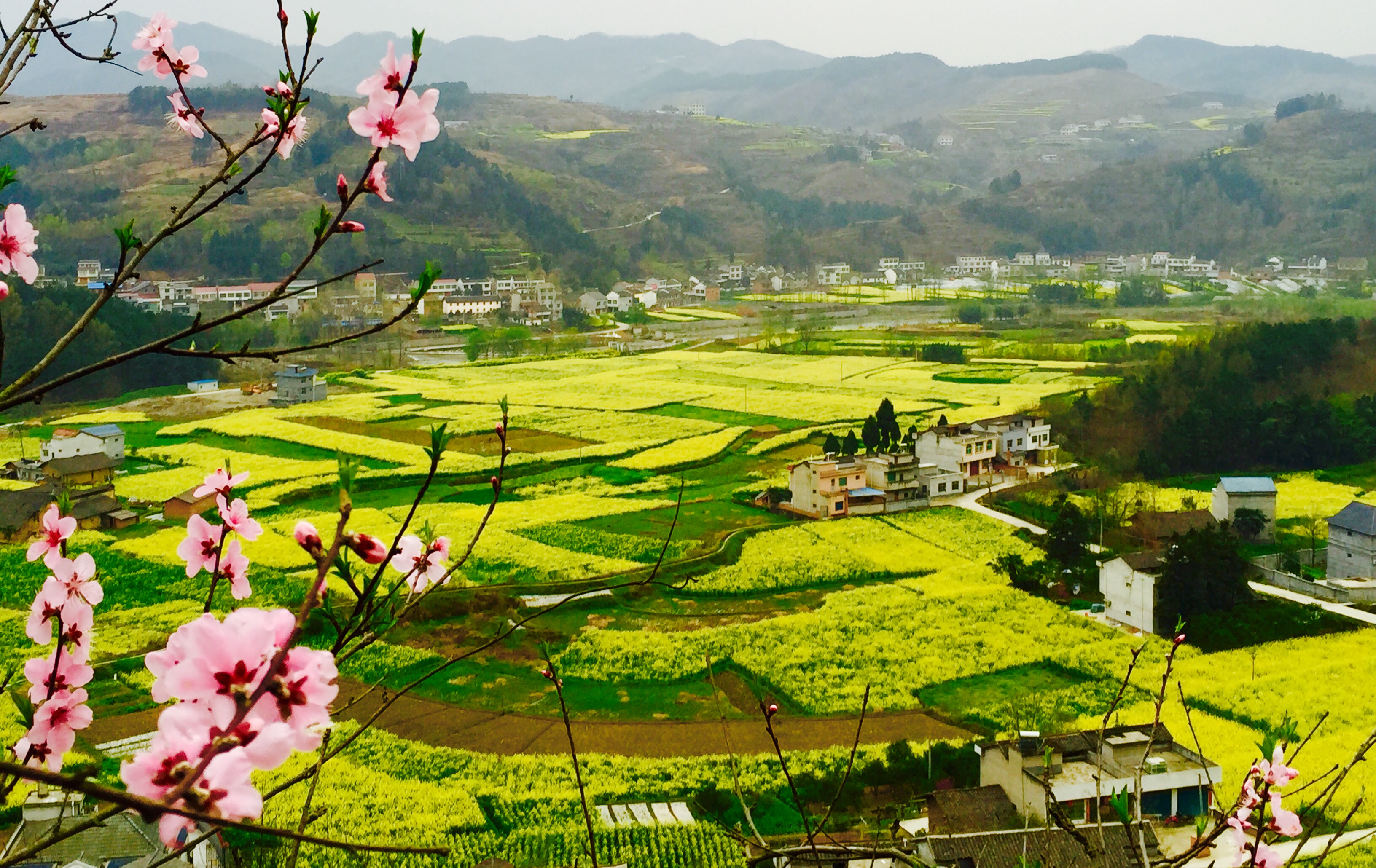 �ߣ����S����p����