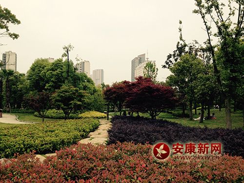 ���C����