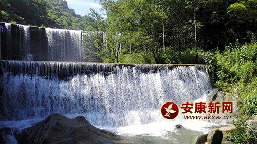 ����Ⱥ��