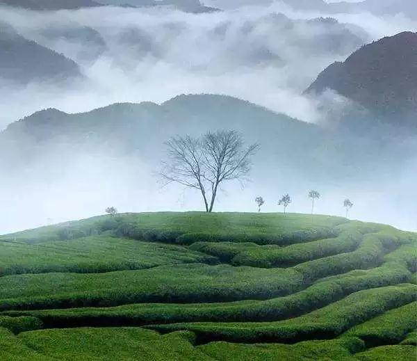 �����˵��ƺ�ƺ�